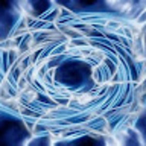 Meet your Posher, Teddy